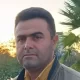 محمد فرید